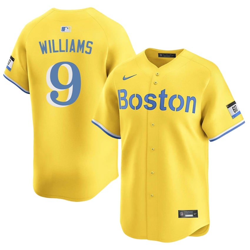#9 Ted Williams Carmine Hose Men Baseball 2026 Jerseys - Gold
