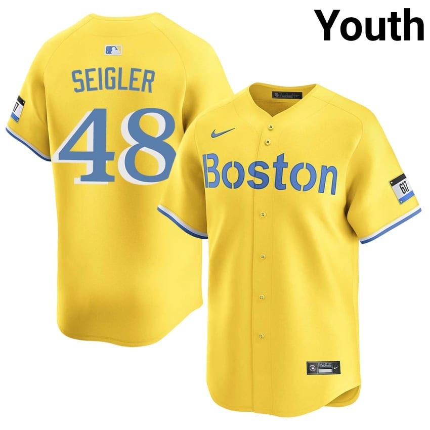 #48 Anthony Seigler The Sawx Youth Baseball Stitched Jersey - Gold