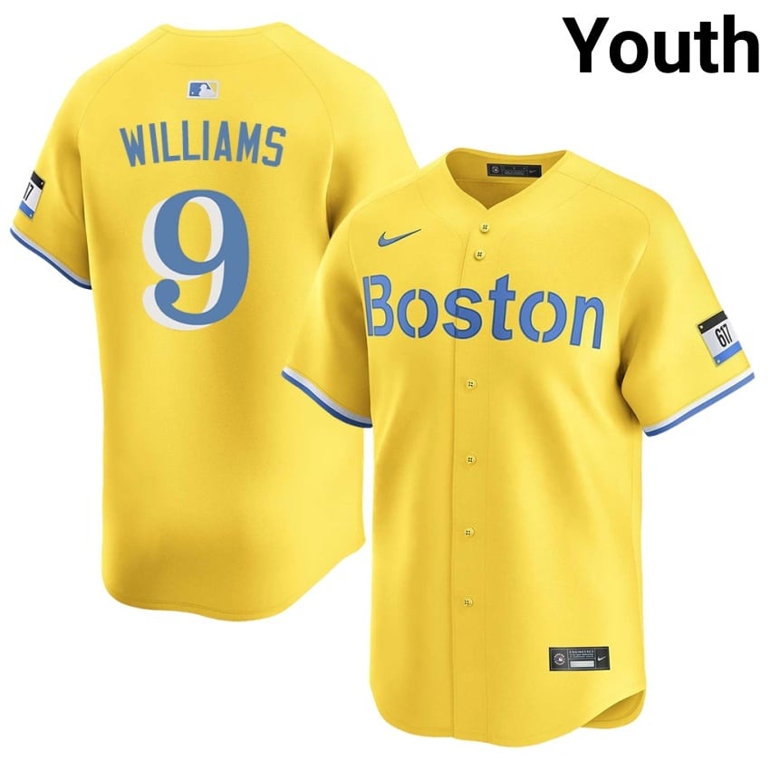 #9 Ted Williams BRS Youth Baseball Stitched Jersey - Gold